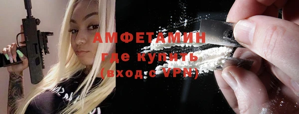 гашик Алексин