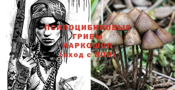 гашик Алексин