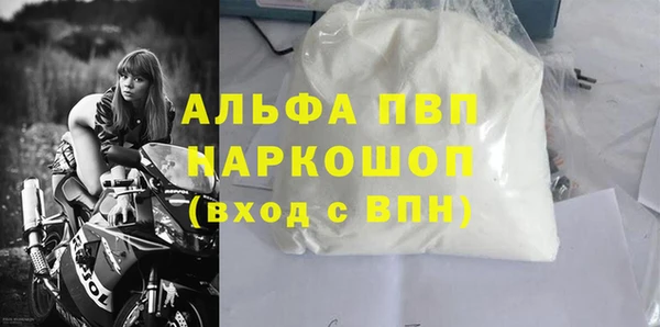 гашик Алексин