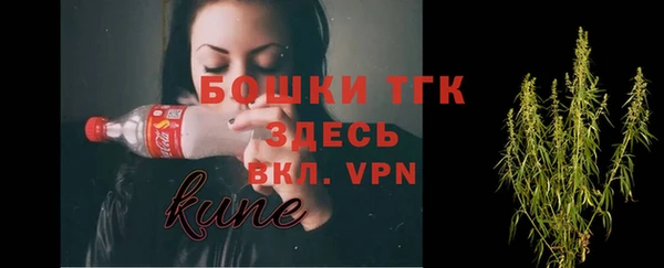 гашик Алексин