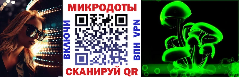 Галлюциногенные грибы мицелий  купить закладку  Канаш 