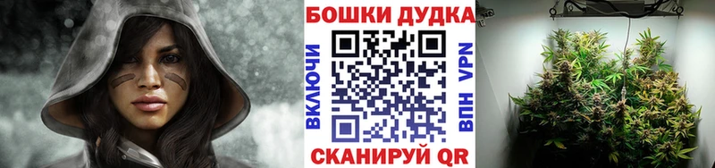 ссылка на мегу   Канаш  Бошки марихуана гибрид  купить наркоту 